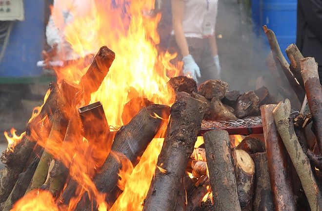 Hình[-]ảnh[-]tiêu[-]huỷ[-]hai[-]tấn[-]ngà[-]voi[-]và[-]70[-]kg[-]sừng[-]tê[-]giác[-]